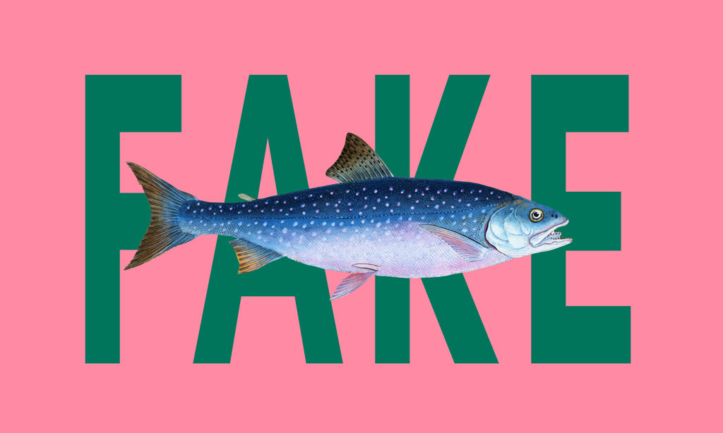 Based on a fake salmon